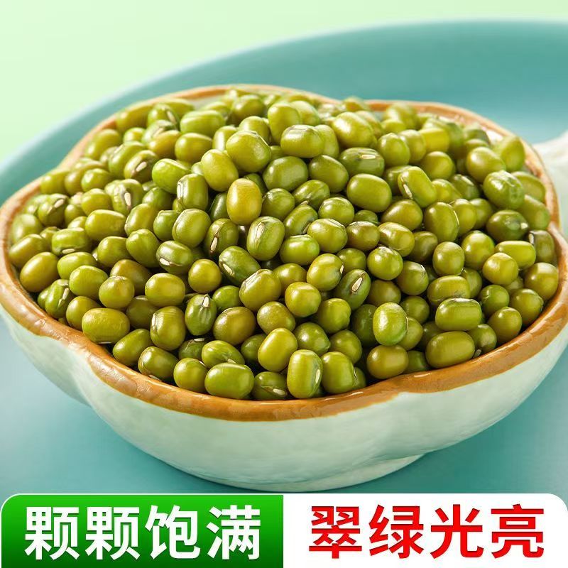 农家绿豆可发豆芽适合夏季解暑熬绿豆粥煲汤的五谷杂粮