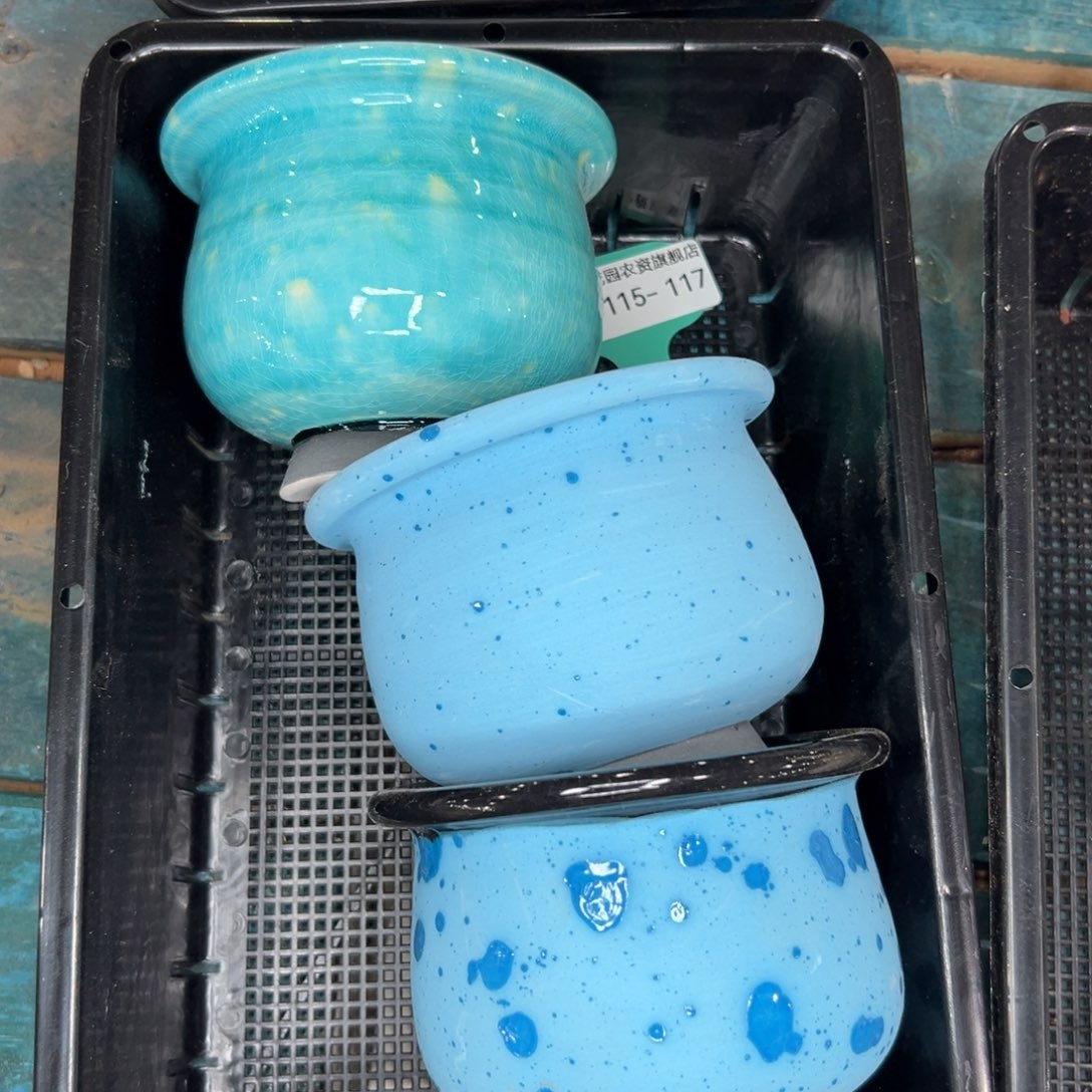 多肉精选编号0115.117