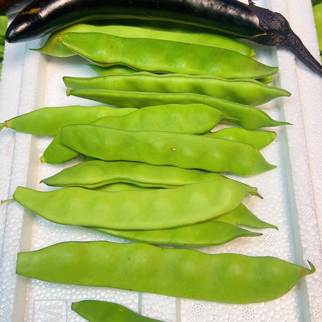 东北绿油豆角5斤装