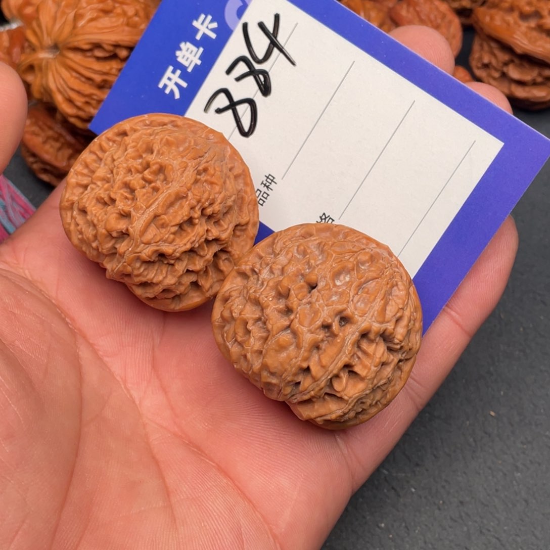 核桃把件41水龙纹，884号