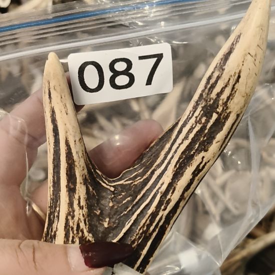 *****鹿角鹿角鹿角鹿角鹿角鹿角