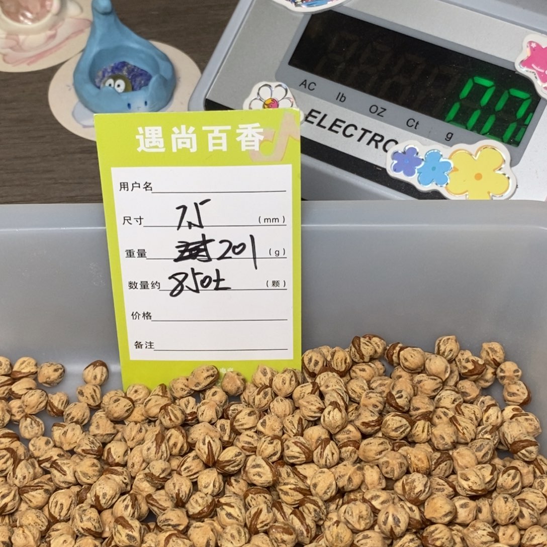 M***Z柏香籽/百香籽吊坠