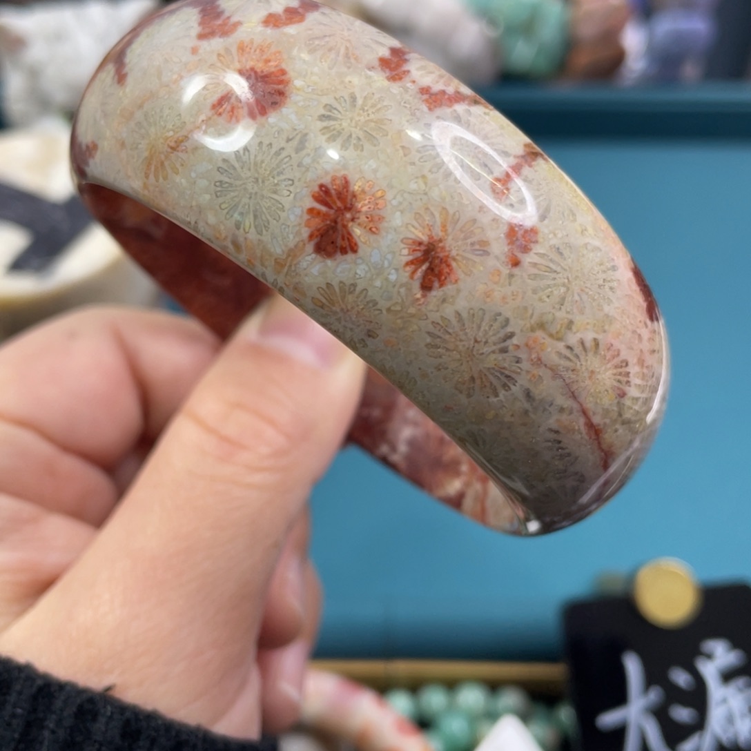 未镶嵌手镯硅化玉