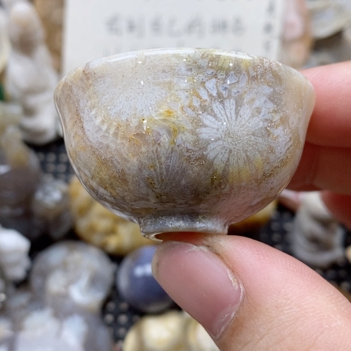 硅化珊瑚（珊瑚玉）未镶嵌颈饰