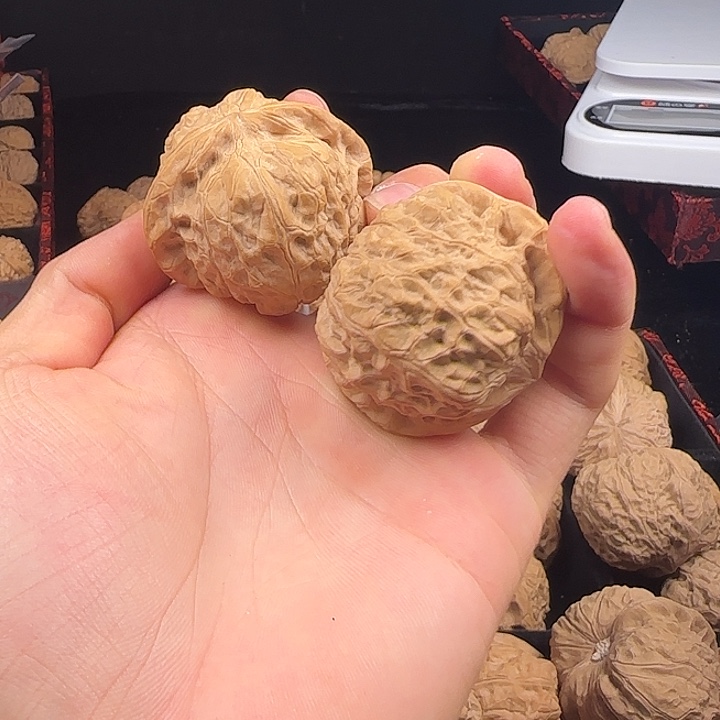 沉****吊坠龙脊菩提啊啊啊啊啊啊啊啊南瓜1