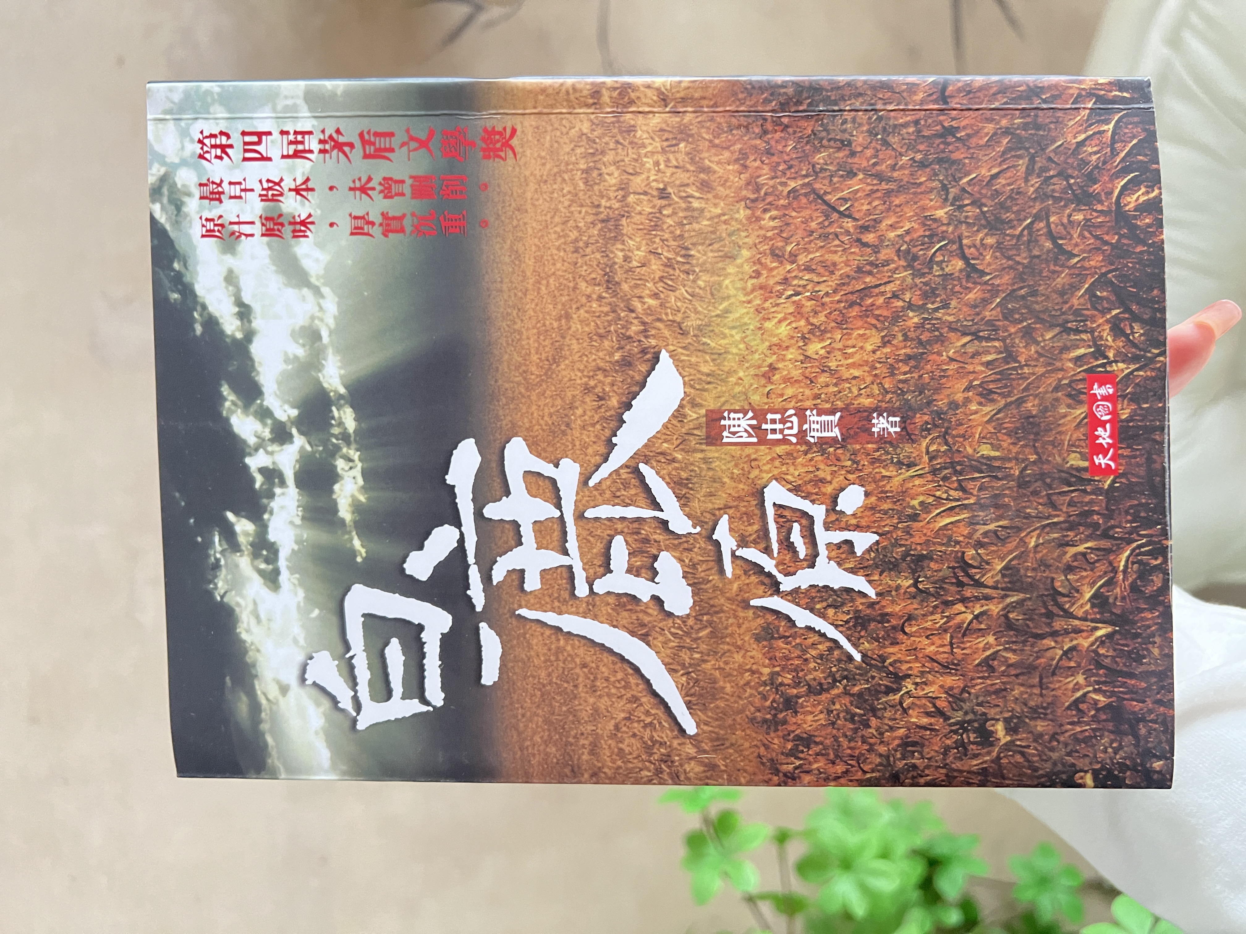 白鹿原正版完整未删减版（港版）