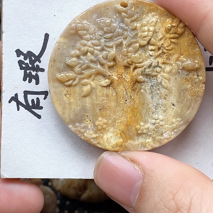 颈饰未镶嵌硅化珊瑚（珊瑚玉）