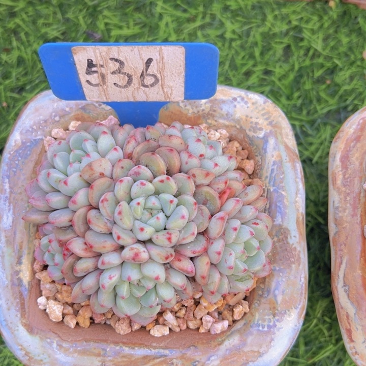 健健康康平平安安