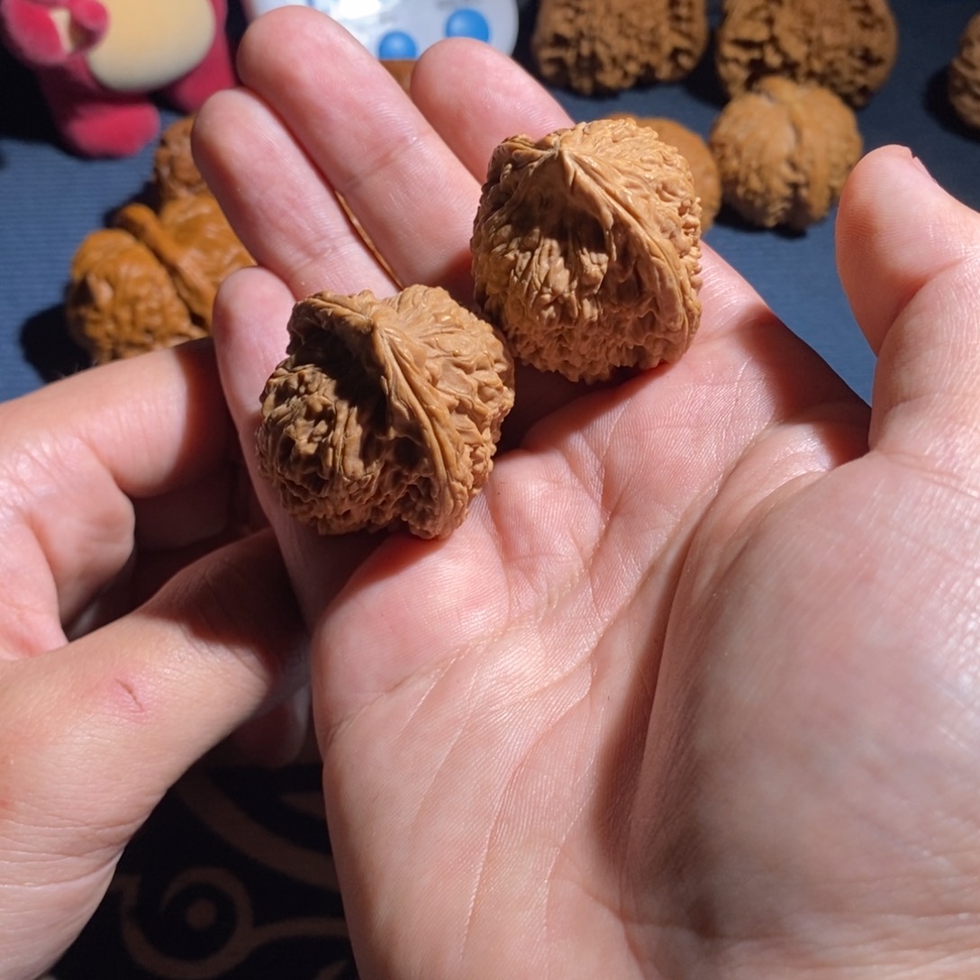 全品南疆没有售后