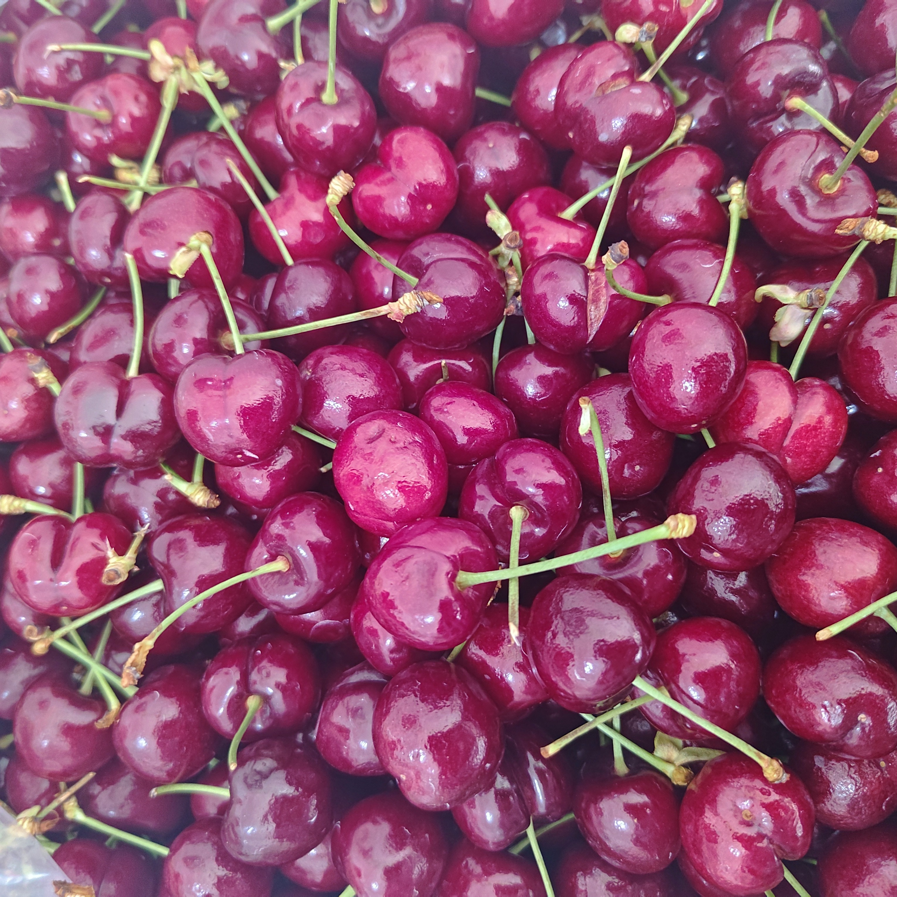 进口海运车厘子，型号3JD，脆甜可口，2000克国外