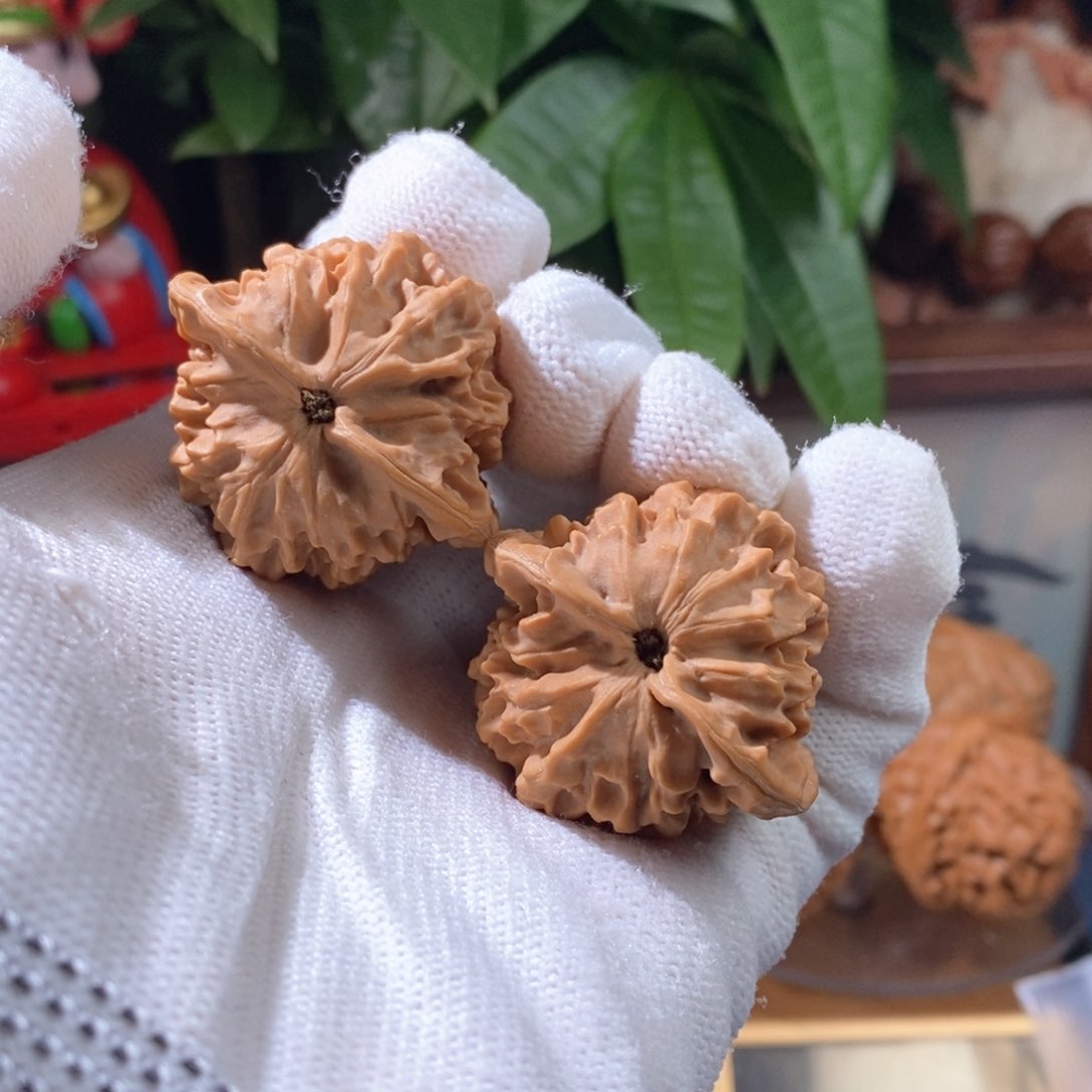 文玩核桃吊坠掌秦公子