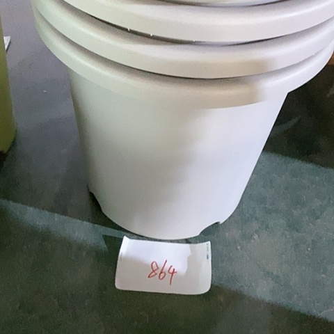 树脂嘉****馆编号864瑕疵