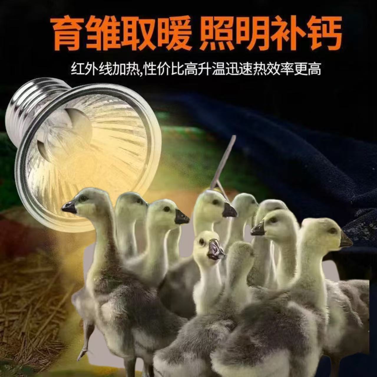 农家养殖户鸡鸭鹅狮头鹅专用保温灯小鹅可用