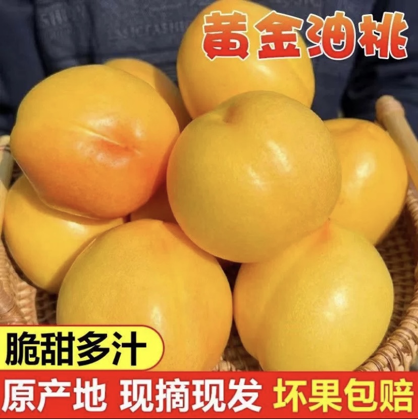 辽南特产黄金油桃产地直发坏果包赔