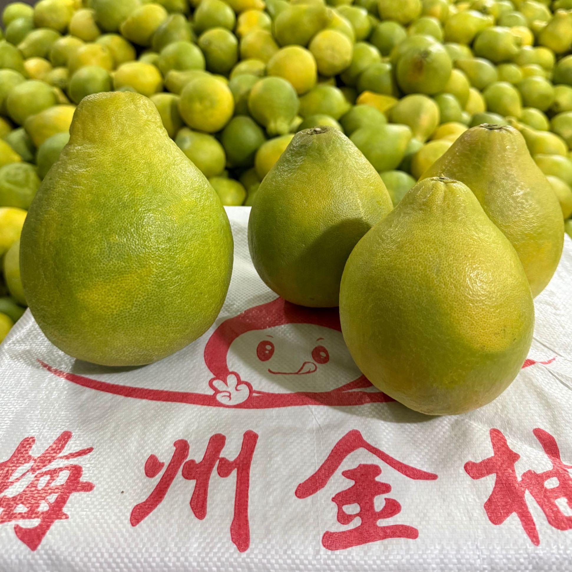 （特价中小果30斤）正宗梅州松口沙田柚高山老树纯甜无酸