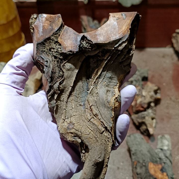 a***í香榧木火琉璃疙瘩毛料毛料毛料