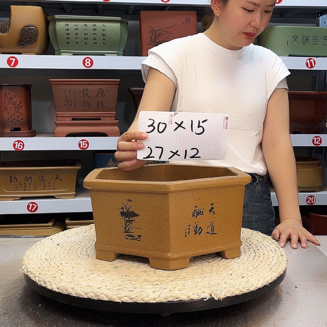 紫砂花盆紫砂花盆