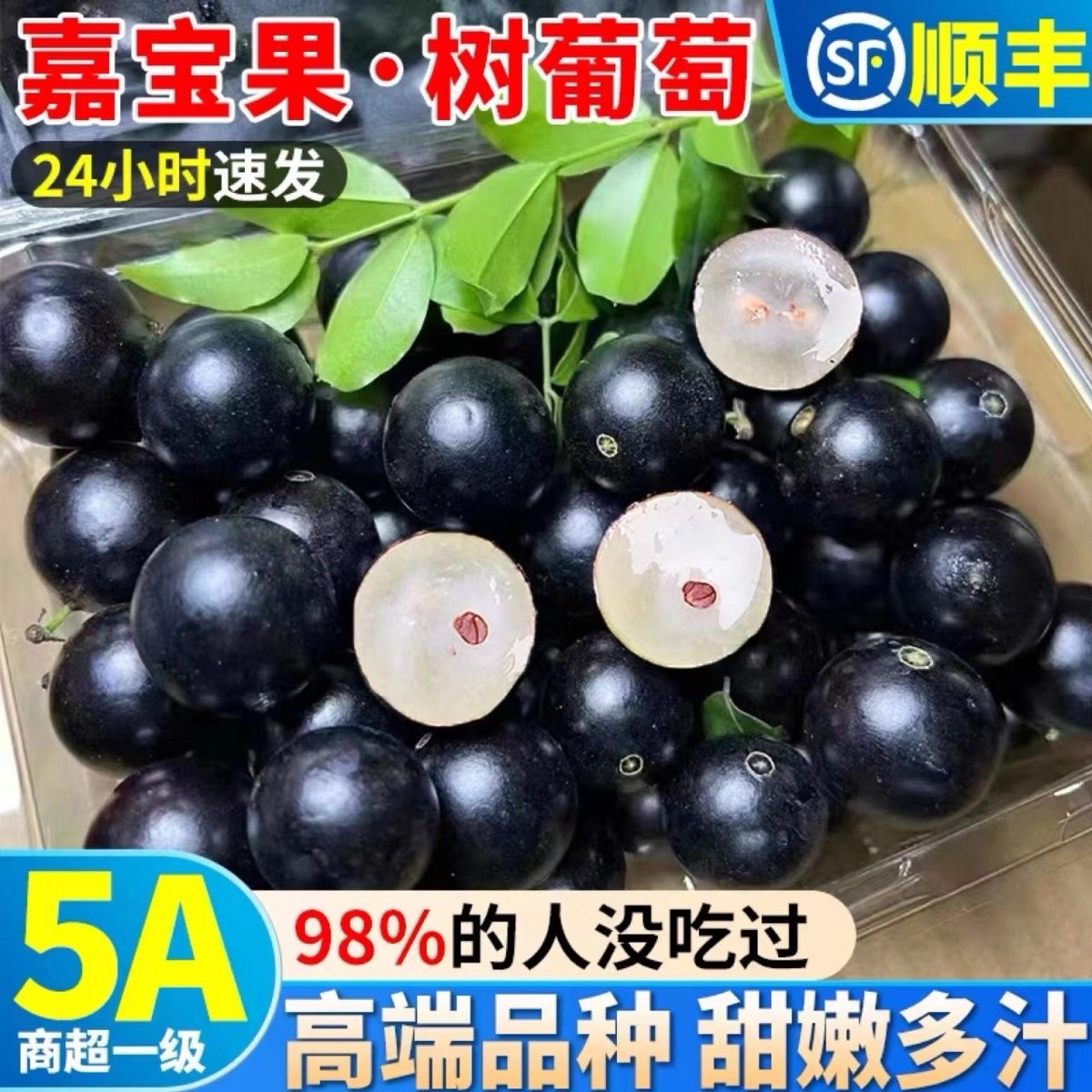 【嘉宝果】沙巴嘉宝果新鲜水果树葡萄鲜果稀罕高端应季孕妇水果现摘