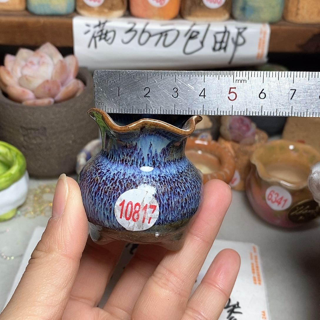 红陶拍5送一个小