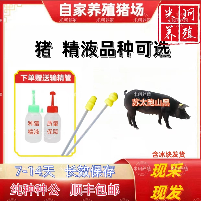 苏太种公精液一件包邮包对版生态养殖批发输精管猪用耗材