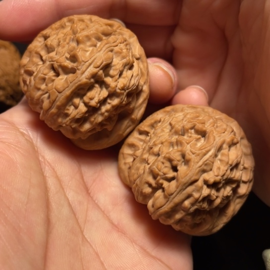 把件文玩核桃边41肚42➕白狮子，全品