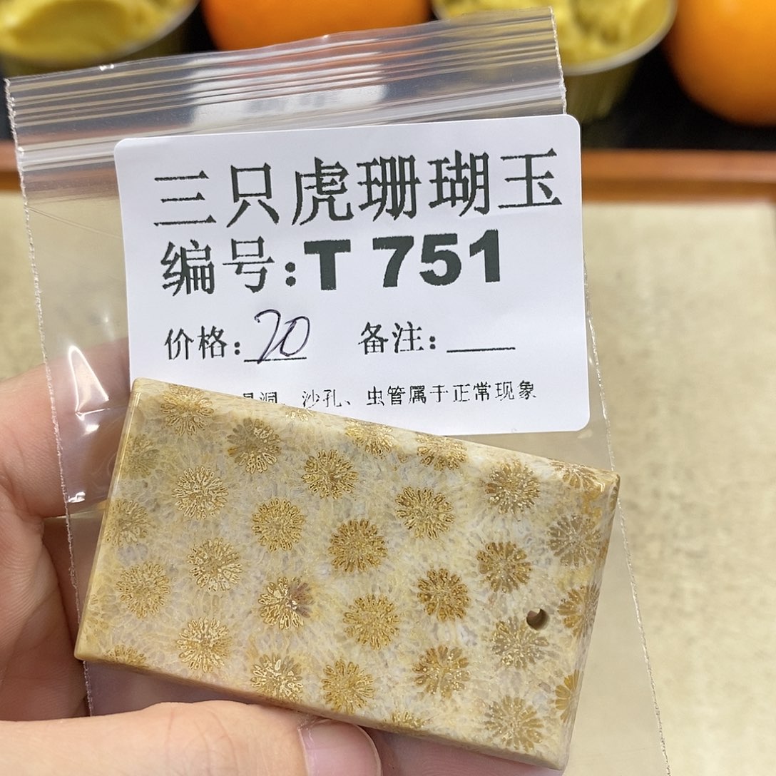 硅化珊瑚（珊瑚玉）1未镶嵌郝*子