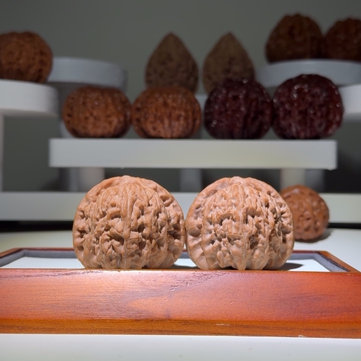 42全品白狮子精品球白