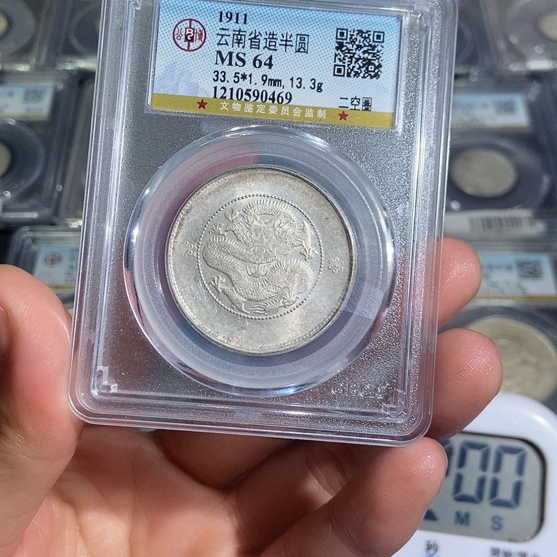 银z*洪大头精选云南半圆龙0469