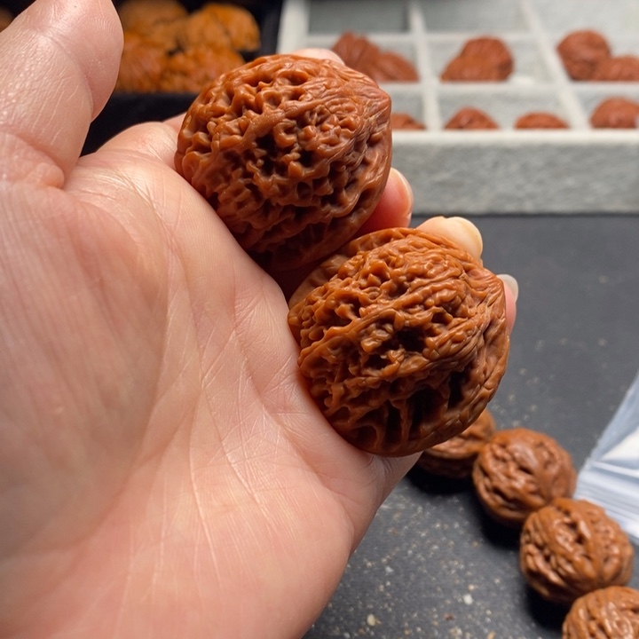 秦岭野生11111–111