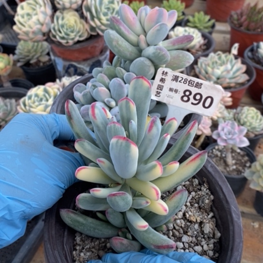 890一一一一一一一一一