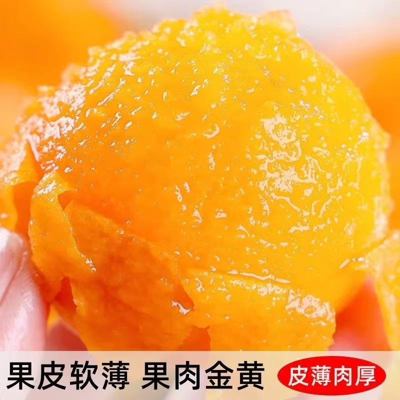 保定应季头茬贵妃红大黄杏新鲜水果酸甜可口新开店铺大促