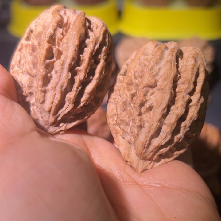 文玩核桃吊坠核桃17W