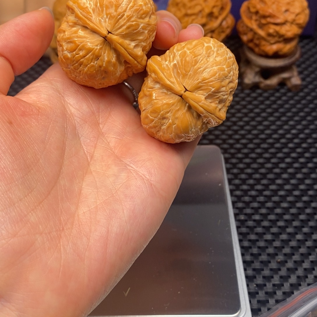 文玩核桃把件蟒纹元宝41.5