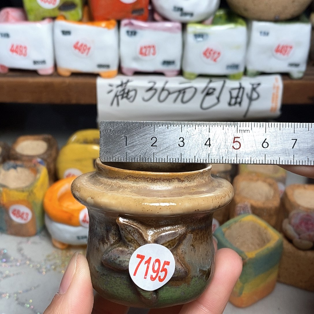 红陶拍5送一个小