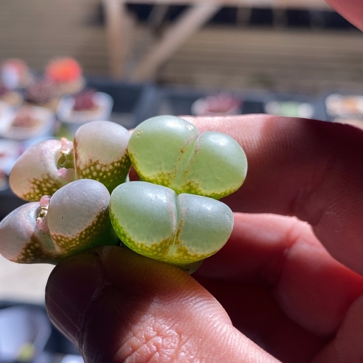 17293一组一组一组