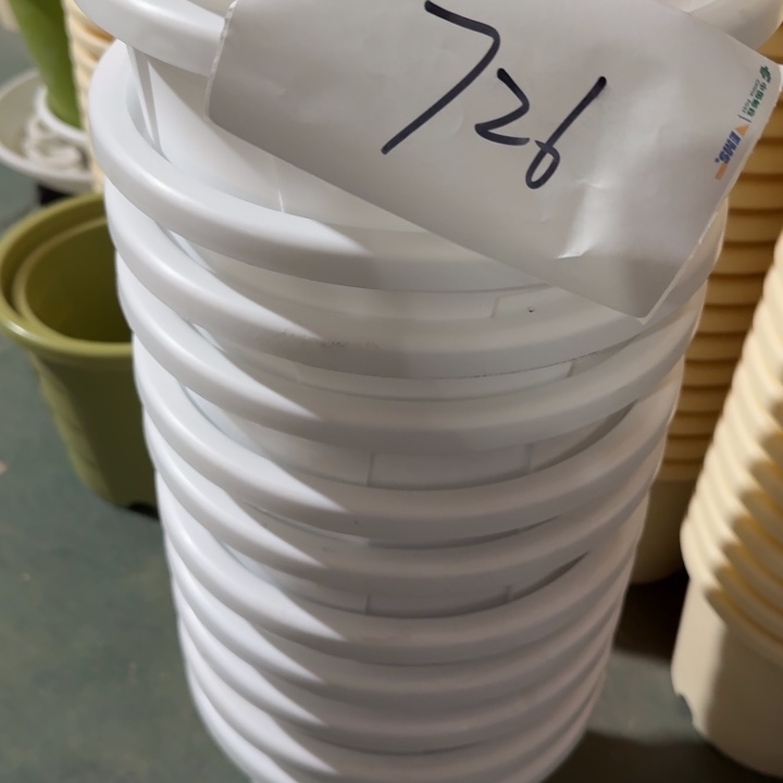 编号726-6个微瑕