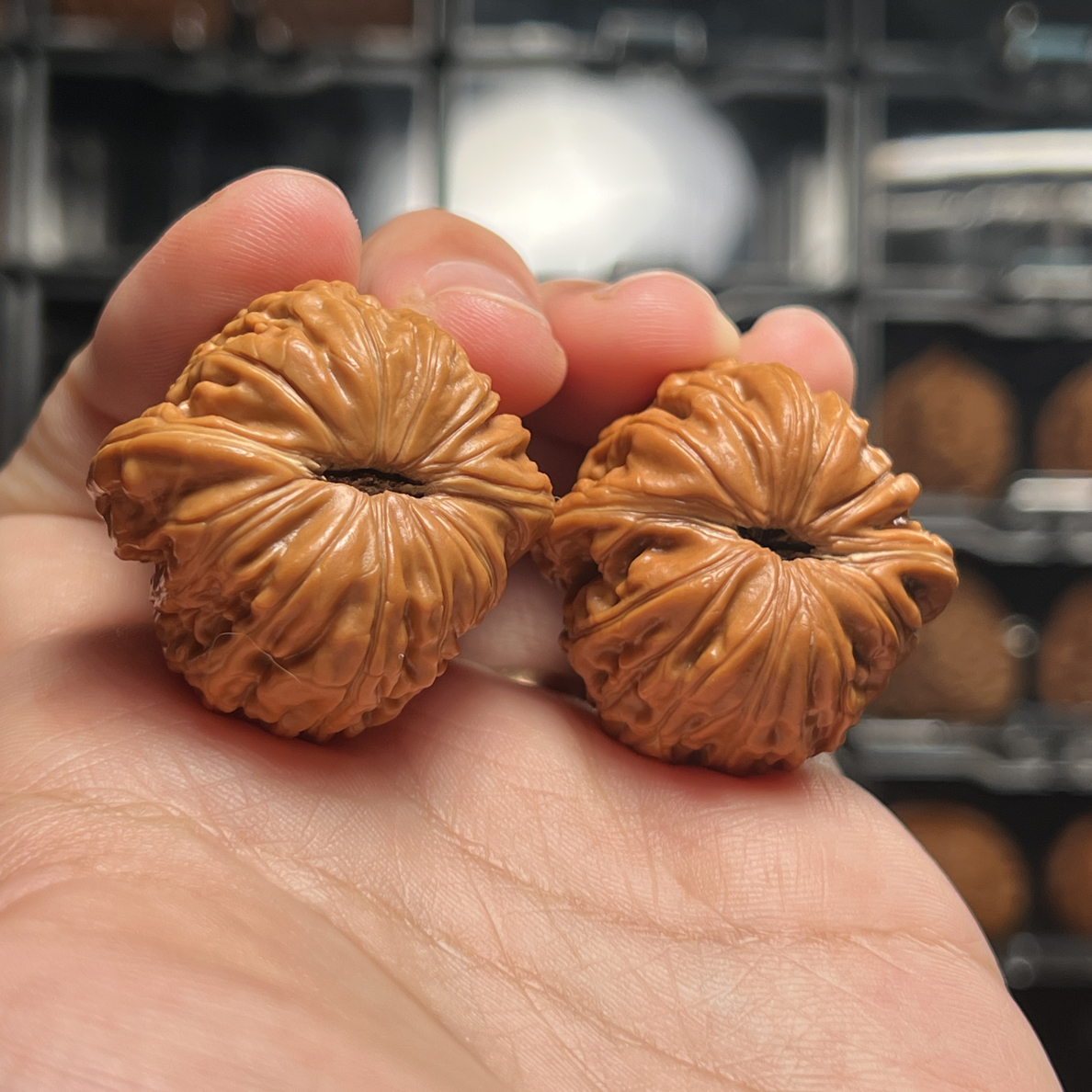 【今日福利】34尺全品汉高楼