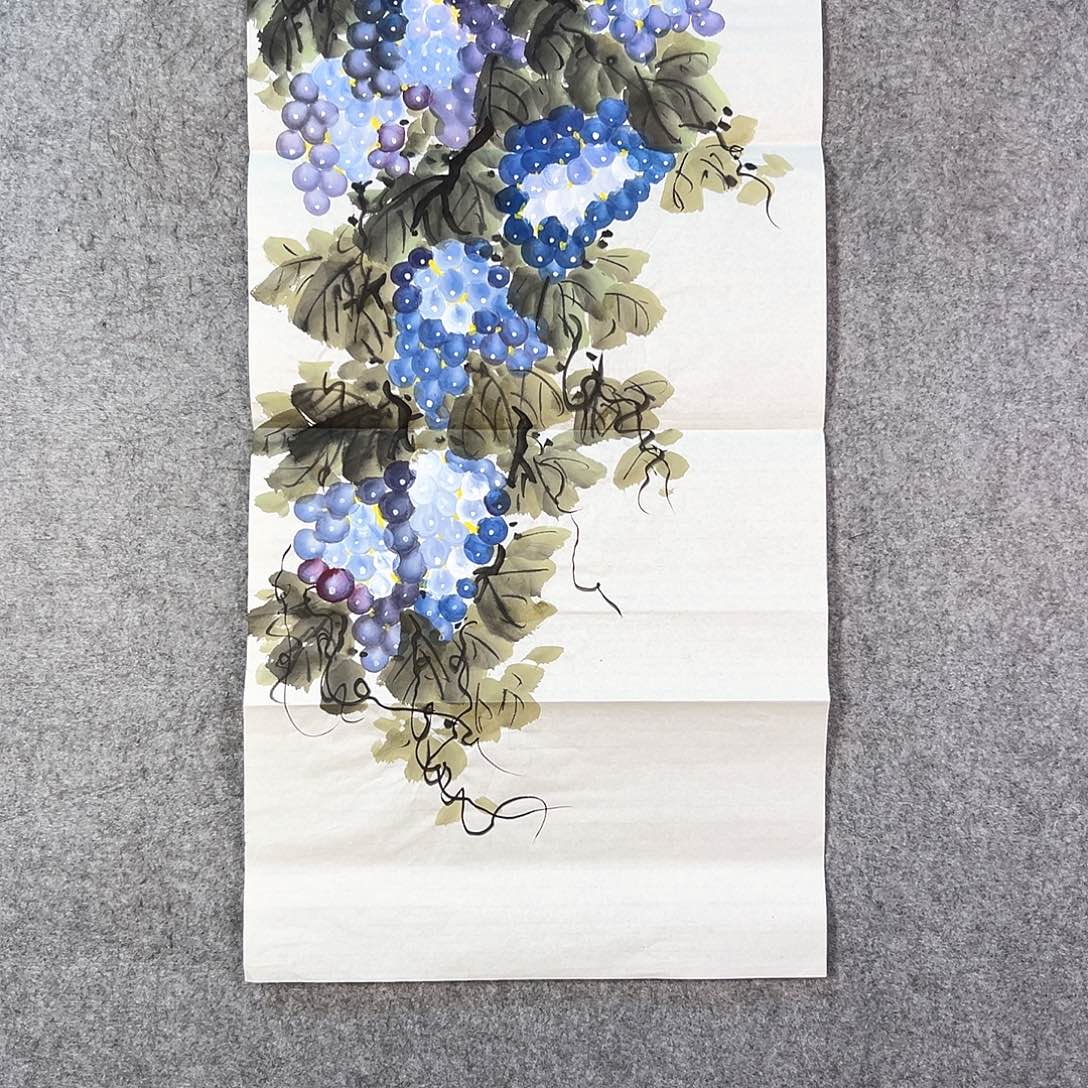 国画217 牡丹花等经济植物资源