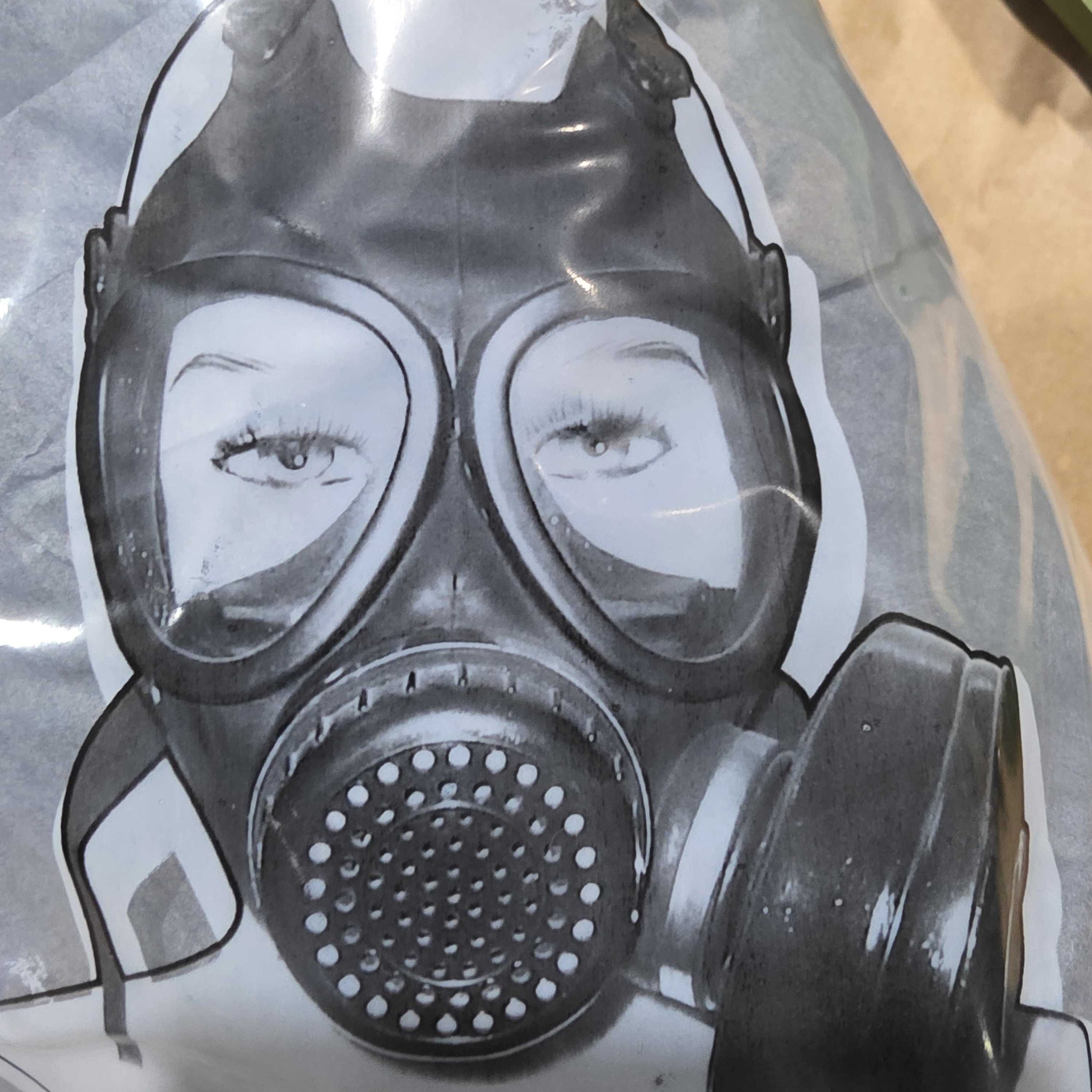 式全面罩面罩一套发货