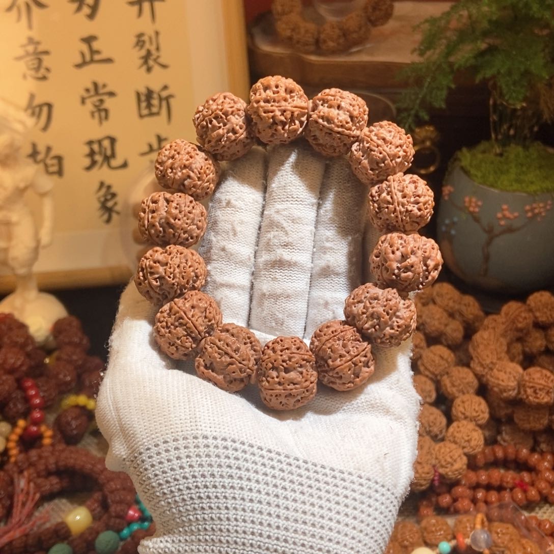 金刚菩提吊坠226原籽