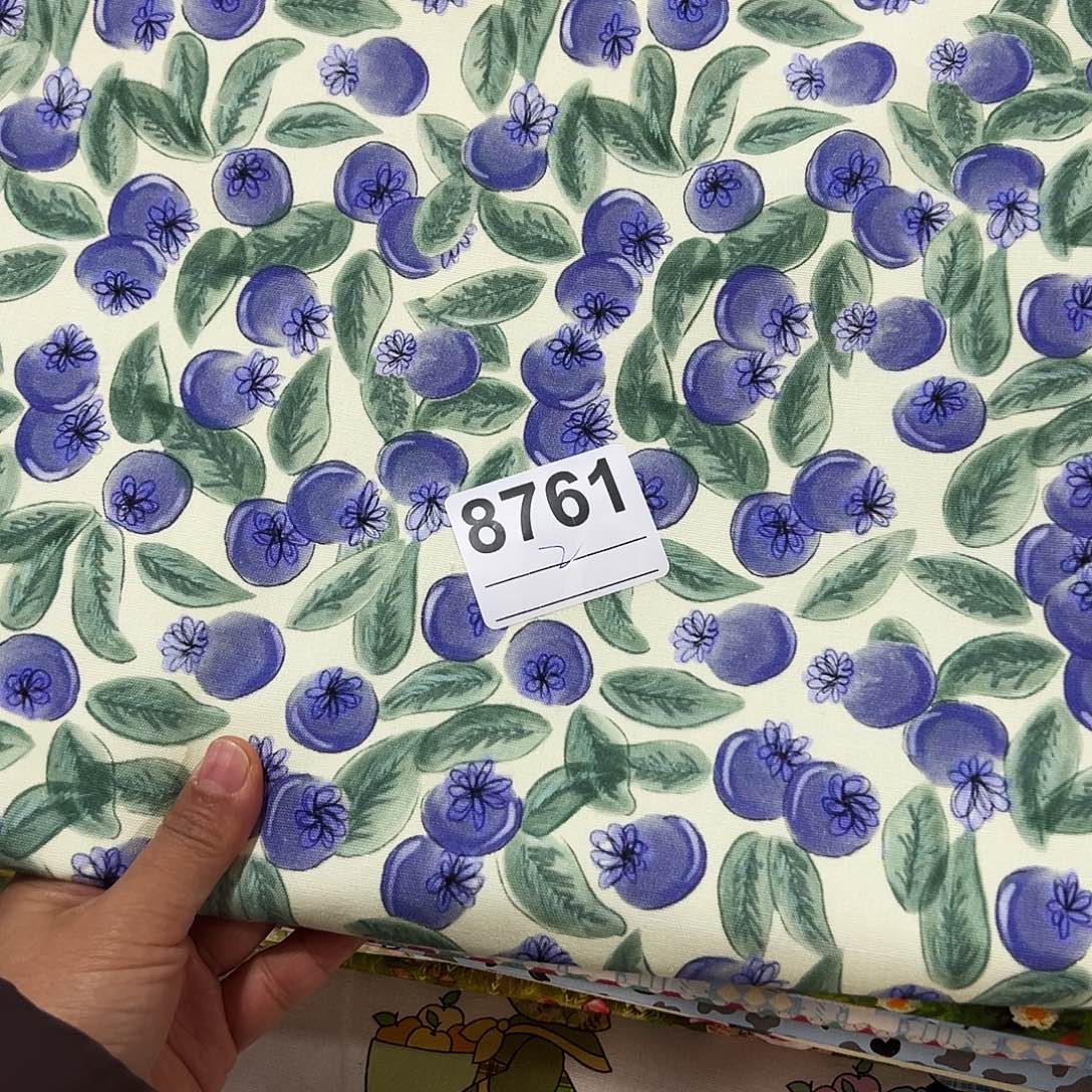 棉福袋一米价纯棉8安帆布1.5米宽果子块