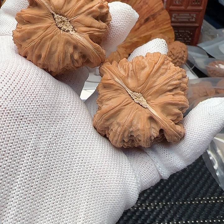 文玩核桃吊坠全品47白狮子福利