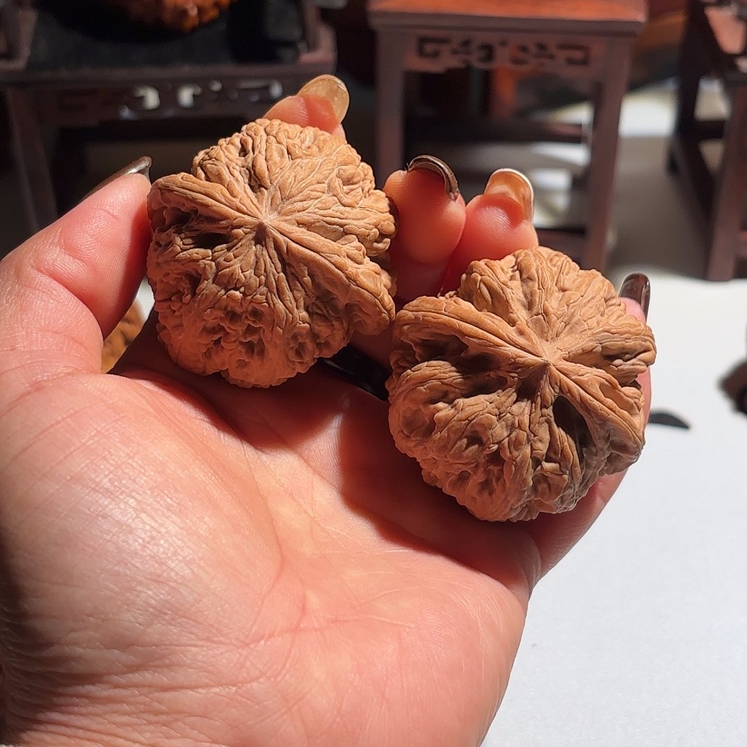 ****忌大叶紫檀（黑酸枝木类）文玩核桃粗筋一对