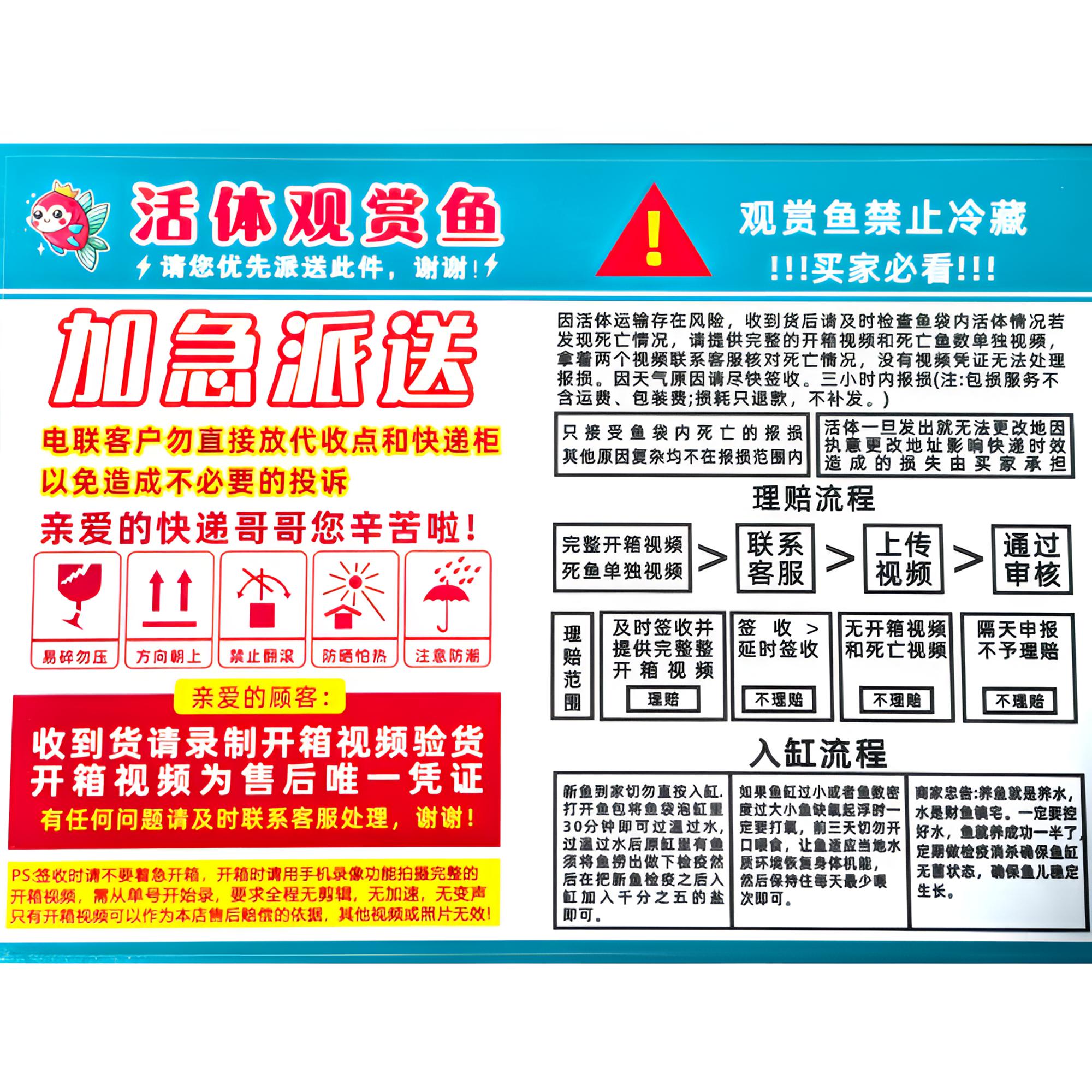 10号缸-蝴蝶鲤（顺丰包邮）观赏鱼（一鱼一拍对版发货）