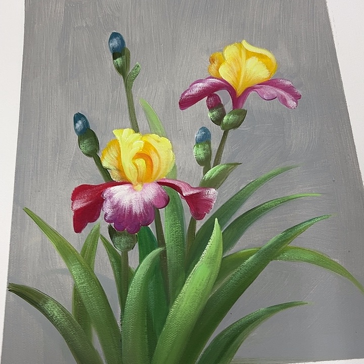 油画p z y p y p w y p z