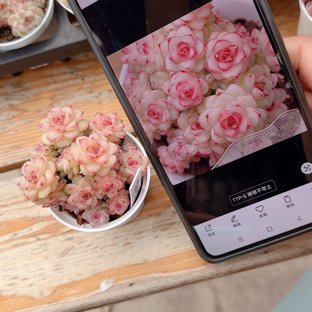 ʚ***ɞ0103-125（ttp-5）优选