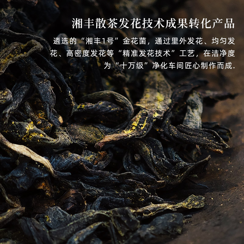 湘丰安化黑茶15年原料10年陈芙蓉山天尖优选金花菌种精准发花160g