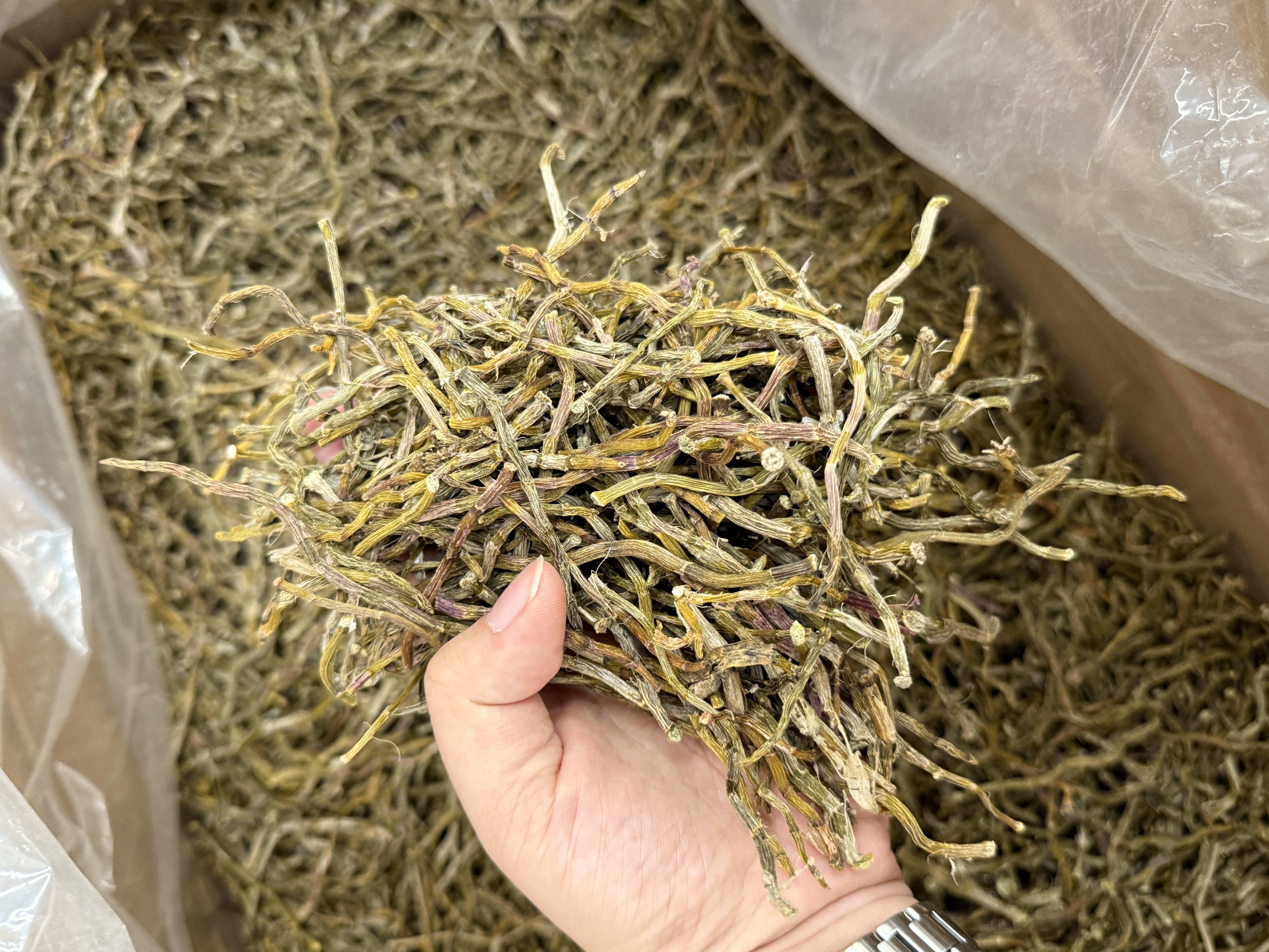 【综合链接22222】煮茶炖茶干货日常煲水高品质