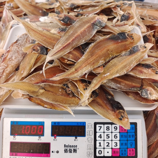 【马鲛仔海产】新鲜淡晒龙利鱼干1斤装无盐顺丰包邮茂名博贺港精品海鲜小鱼干