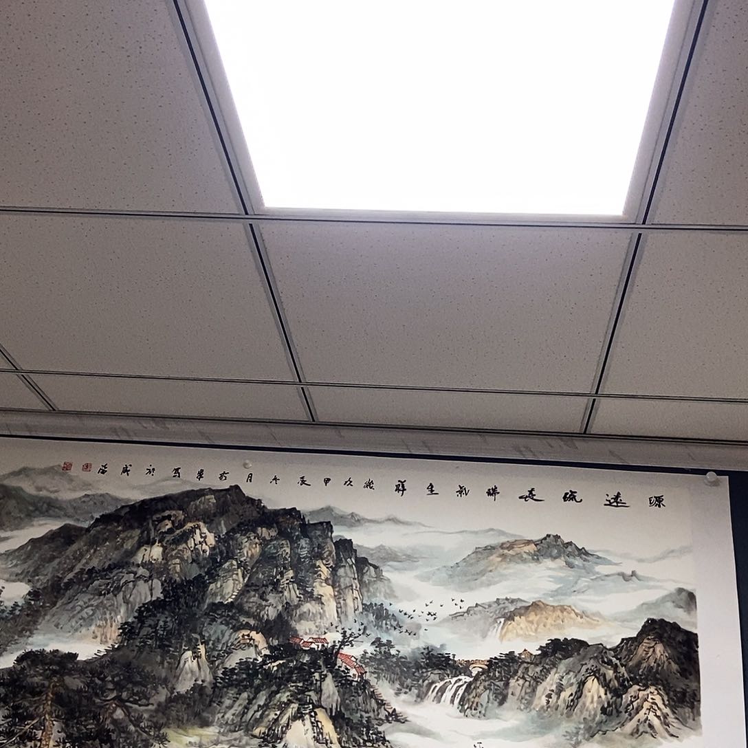 国画杨****队李珍军70.180手绘托心